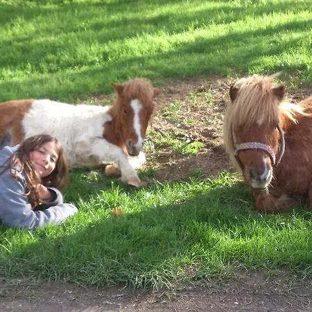 Domaine Du Bas Chalus Lantgård