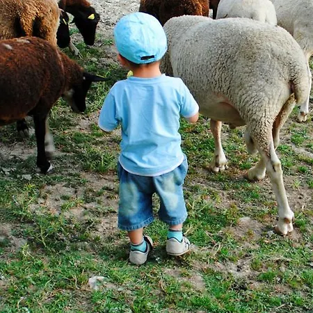 Domaine Du Bas Chalus