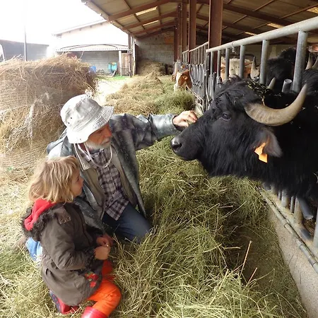 Domaine Du Bas Chalus Lantgård Forcalquier