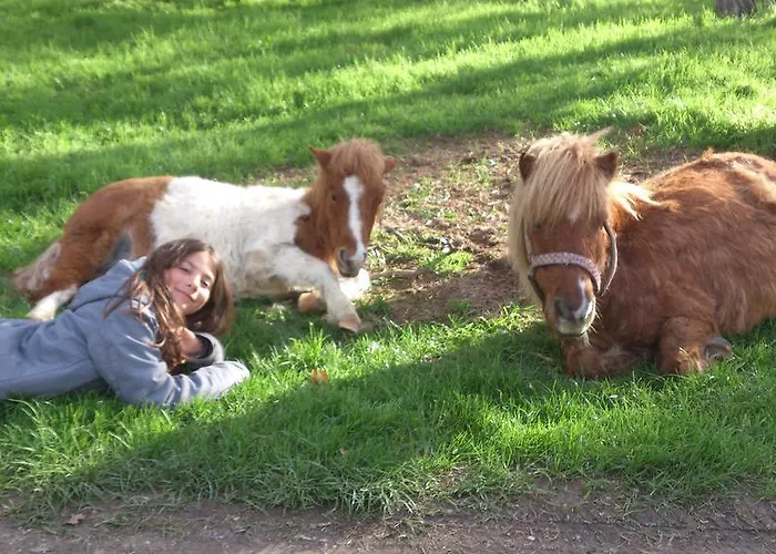 Domaine Du Bas Chalus Bauernhof