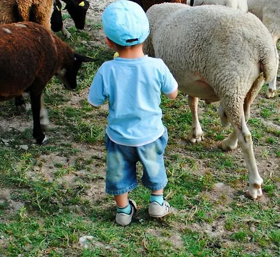 Domaine Du Bas Chalus