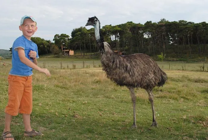 Domaine Du Bas Chalus Bauernhof Forcalquier