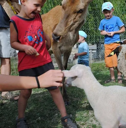 Domaine Du Bas Chalus Bauernhof