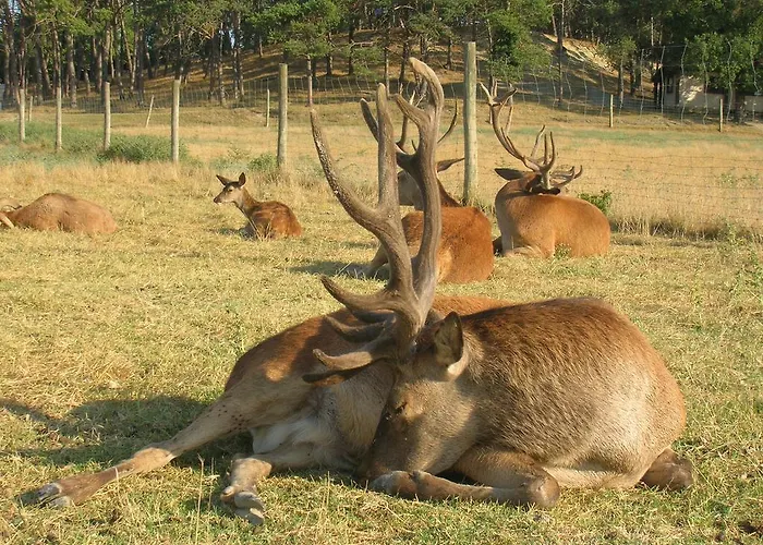 Domaine Du Bas Chalus * Forcalquier