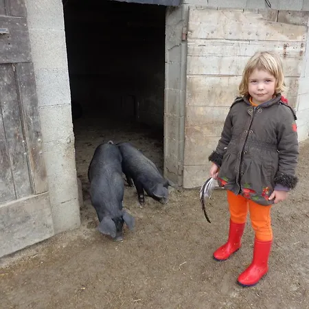 Vakantieboerderij Domaine Du Bas Chalus