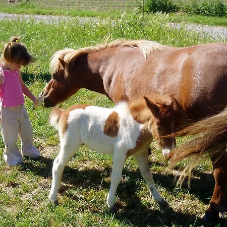 Domaine Du Bas Chalus Vakantieboerderij