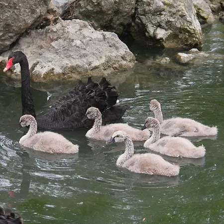 Domaine Du Bas Chalus