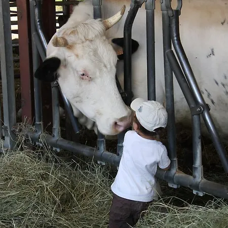 Domaine Du Bas Chalus Vakantieboerderij *