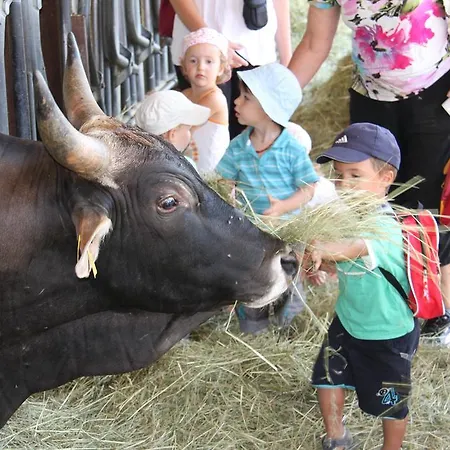 Vakantieboerderij Domaine Du Bas Chalus Forcalquier