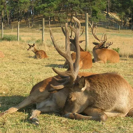 Domaine Du Bas Chalus * Forcalquier