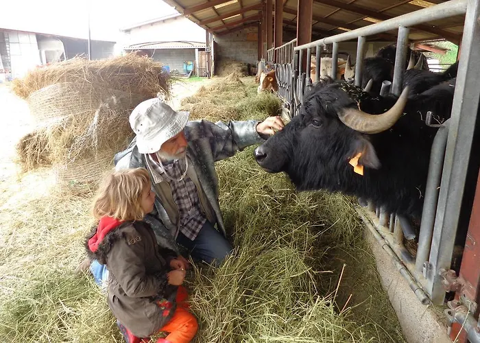Domaine Du Bas Chalus Séjour à la ferme Forcalquier