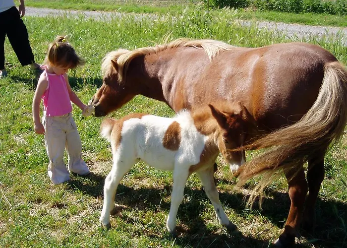 Domaine Du Bas Chalus Séjour à la ferme