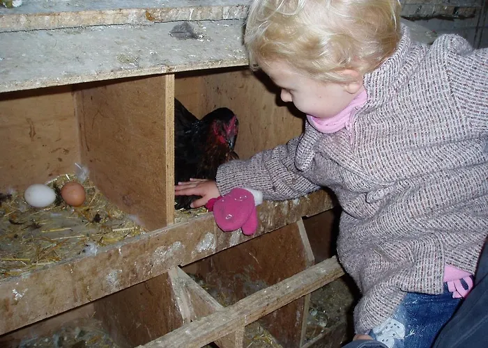 Domaine Du Bas Chalus Forcalquier