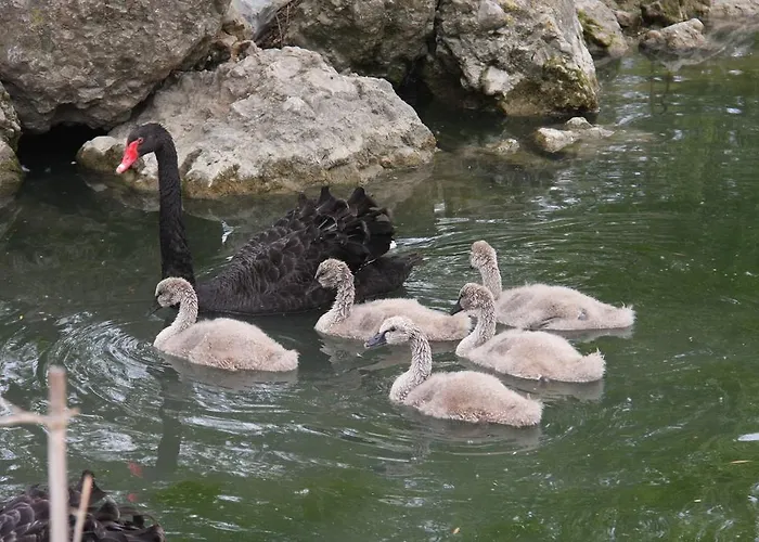 Domaine Du Bas Chalus