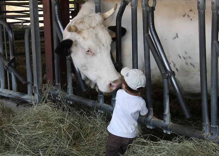 Domaine Du Bas Chalus Séjour à la ferme *