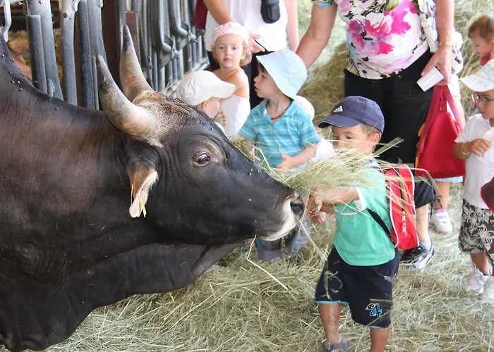 Séjour à la ferme Domaine Du Bas Chalus Forcalquier